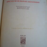 Speculum Humanae Salvationis (Edilan-NLS), c. 1432 - Image 3