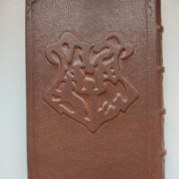 Harry Potter and the Philosopher's Stone. J.K. Rowling. Luxury and exclusive pack - Image 8