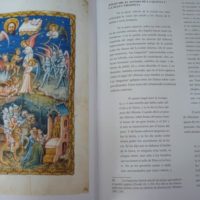 Apocalipsis Flamenco, s. XV (BNF) (en pergamino natural) (5*+) - Imagen 15