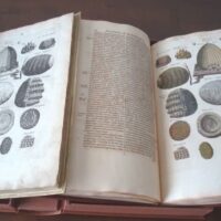 1657 Lot Historiae Naturalis de Insectis, by Johannes Jonstonus, 1653 (facsimile) and 1657 (original) (5 *)