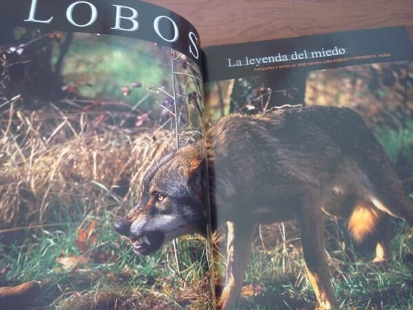 Wild Vision. Nature photography magazine. No. 1, 2005 - Image 2