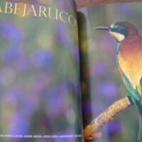 Wild Vision. Nature photography magazine. No. 1, 2005 - Image 5