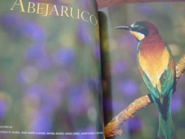 Wild Vision. Nature photography magazine. No. 1, 2005 - Image 5