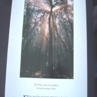 Wild Vision. Nature photography magazine. No. 1, 2005 - Image 7