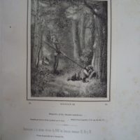 1871-1873/1879 Don Quixote de la Mancha, Cervantes, first photo-typographical edition - Image 12