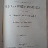 1871-1873/1879 Don Quixote de la Mancha, Cervantes, first photo-typographical edition - Image 14