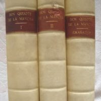 1871-1873/1879 Don Quixote de la Mancha, Cervantes, first photo-typographical edition - Image 15