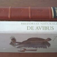 Historiae Naturalis de Avibus, by Johannes Jonstonus, 1657 (5*) - Image 3