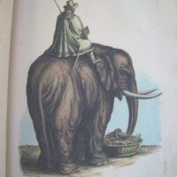 Historiae Naturalis de Quadrupedibus, by Johannes Jonstonus, 1652 (5*) - Image 4