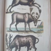 Historiae Naturalis de Quadrupedibus, by Johannes Jonstonus, 1652 (5*) - Image 6