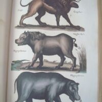 Historiae Naturalis de Quadrupedibus, by Johannes Jonstonus, 1652 (5*) - Image 7