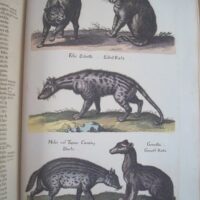 Historiae Naturalis de Quadrupedibus, by Johannes Jonstonus, 1652 (5*) - Image 8