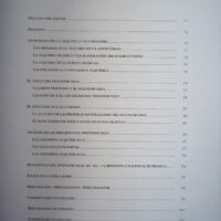 Libro estudio del facsímil Splendor Solis, en 4 idiomas. Patrimonio Ediciones - Imagen 3