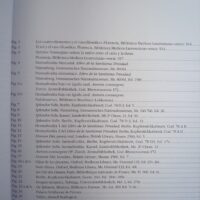 Libro estudio del facsímil Splendor Solis, en 4 idiomas. Patrimonio Ediciones - Imagen 5
