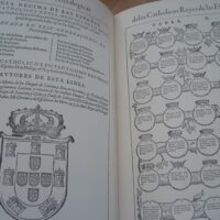 Genealogical Illustrations of the Catholicos Reyes de las Españas, 1596, Esteban de Garibay (paperback) - Image 7