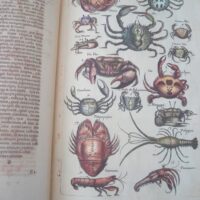 Historiae Naturalis de Exanguibus Acuaticis et Serpentibus, by Johannes Jonstonus, 1650 (5*) - Image 3