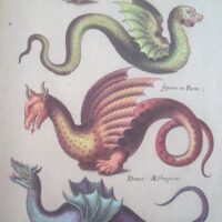 Historiae Naturalis de Exanguibus Acuaticis et Serpentibus, by Johannes Jonstonus, 1650 (5*) - Image 6
