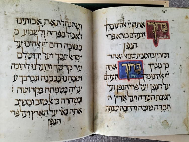 La Hagadá Kaufmann, siglo XIV - Imagen 10