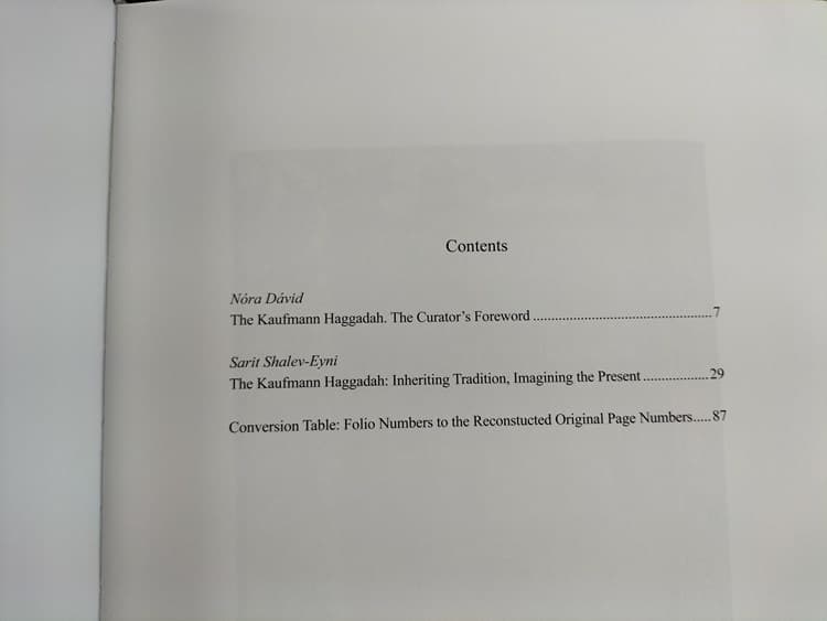 La Hagadá Kaufmann, siglo XIV - Imagen 12