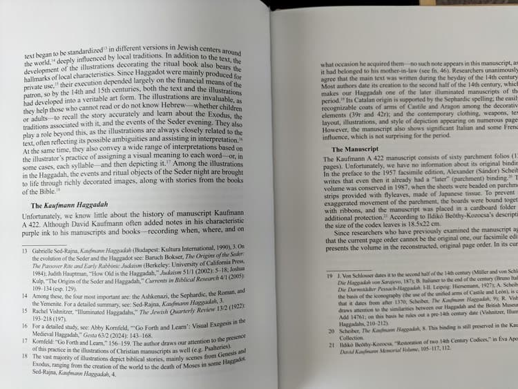 La Hagadá Kaufmann, siglo XIV - Imagen 13