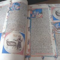 The Lapidary of Alfonso X the Wise, s. XIII, complete work (in natural parchment) (5*+) - Image 2