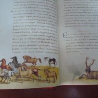 The book of animals. Pier Candido Decembrio, XV-XVI centuries - Image 5