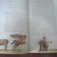 The book of animals. Pier Candido Decembrio, XV-XVI centuries - Image 6