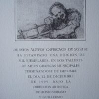 Goya's New Caprices, 32 new prints. 1995 edition - Image 8