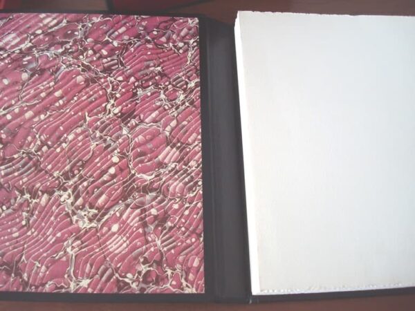 Goya: Nuevos Caprichos (32 nuevos dibujos). 1980 - Imagen 3