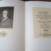 Goya: New Whims (32 new drawings). 1980