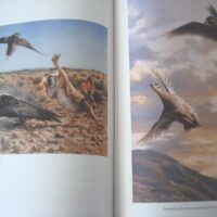 Falconry and Art. The practice and art of falconry. Magnificent and unique work - Image 6