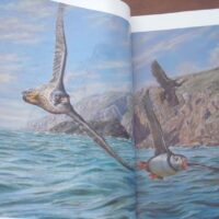 Falconry and Art. The practice and art of falconry. Magnificent and unique work - Image 7