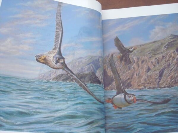 Cetrería y Arte. La práctica y el arte de la cetrería. Magna y única obra - Imagen 7