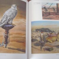 Falconry and Art. The practice and art of falconry. Magnificent and unique work - Image 9
