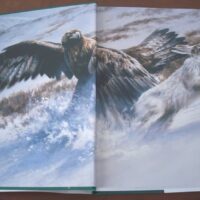 Falconry and Art. The practice and art of falconry. Magnificent and unique work - Image 2