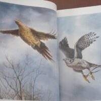 Falconry and Art. The practice and art of falconry. Magnificent and unique work - Image 4