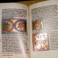 Oxford Bestiary, c. XIII (Ms. Ashmole 1511. Bodleian Library) - Image 4