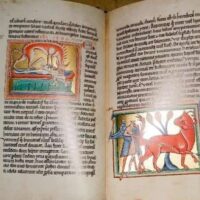 Oxford Bestiary, c. XIII (Ms. Ashmole 1511. Bodleian Library) - Image 5