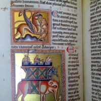 Oxford Bestiary, c. XIII (Ms. Ashmole 1511. Bodleian Library) - Image 7