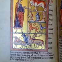 Oxford Bestiary, c. XIII (Ms. Ashmole 1511. Bodleian Library) - Image 8