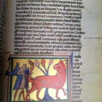 Oxford Bestiary, c. XIII (Ms. Ashmole 1511. Bodleian Library) - Image 9