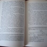 History of Malaga and its Province, Francisco Guillen Robles, 1977 - Image 4