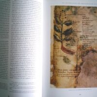 Herbolarium et Materia Medica, s. IX - Image 10