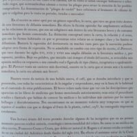 Carta del café, siglo XVII - Imagen 6