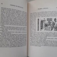 The Decameron, by Giovanni Boccaccio. 1975, 3 volumes. Bibliophile's Circle - Image 6