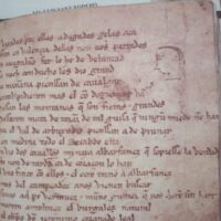Poem of Mio Cid, manuscript by Per Abbat, 1207 - Image 6