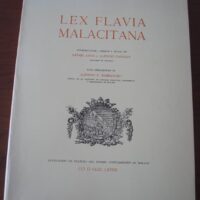 Lex Flavia Malacitana, Málaga, 1969