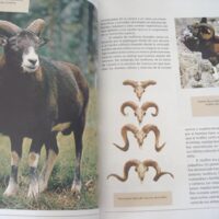 Iberian and European Fauna. Felix Rodriguez de la Fuente. 15 volumes. 2003 - Image 3