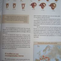 Iberian and European Fauna. Felix Rodriguez de la Fuente. 15 volumes. 2003 - Image 4