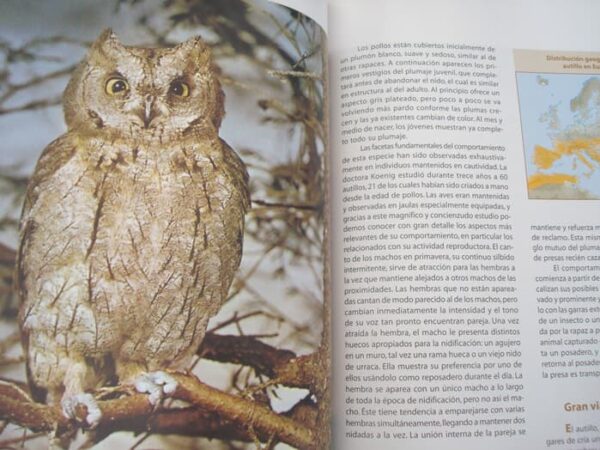 Iberian and European Fauna. Felix Rodriguez de la Fuente. 15 volumes. 2003 - Image 5